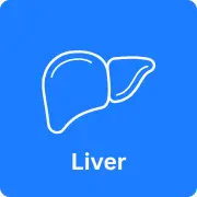 Liver