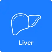 Liver