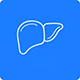 Liver Transplant
