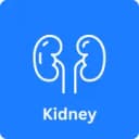 Kidney Transplant