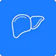 Liver Transplant