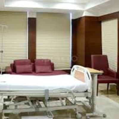 gallery-2
