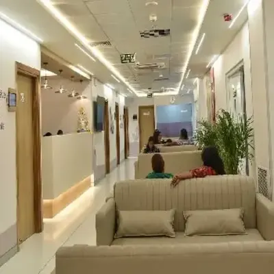 gallery-0