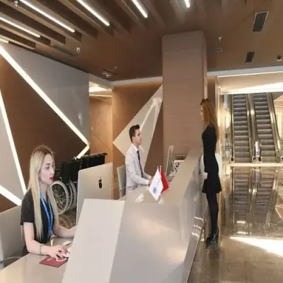 gallery-0
