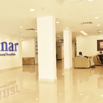 gallery-3